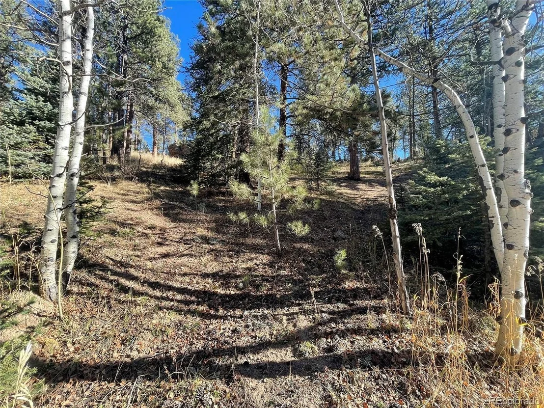 Photo of Shadow Mountain Dr