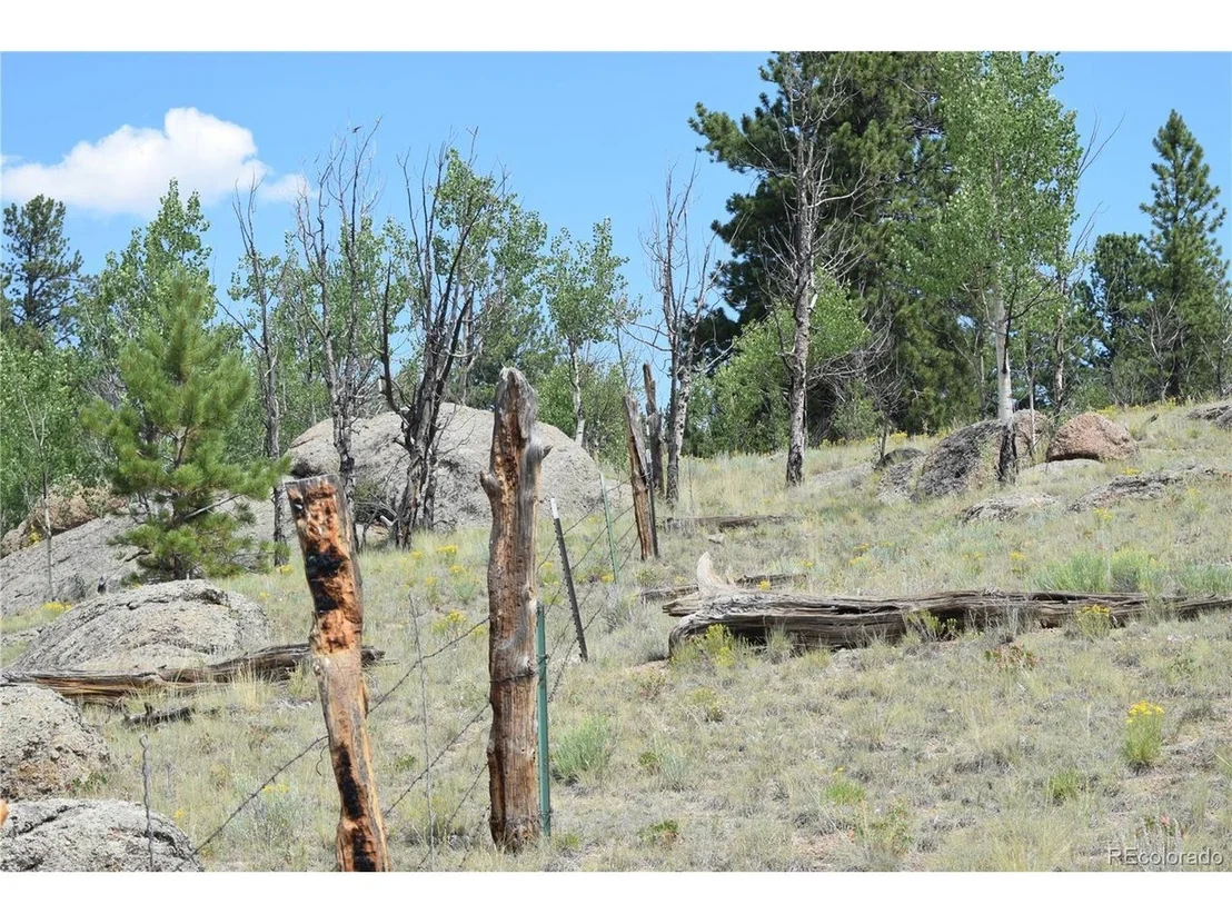 Photo of 1651 Aspen Trl