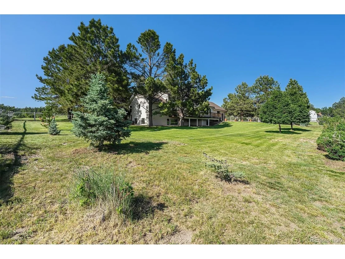 Photo of 497 Grey Squirrel Way