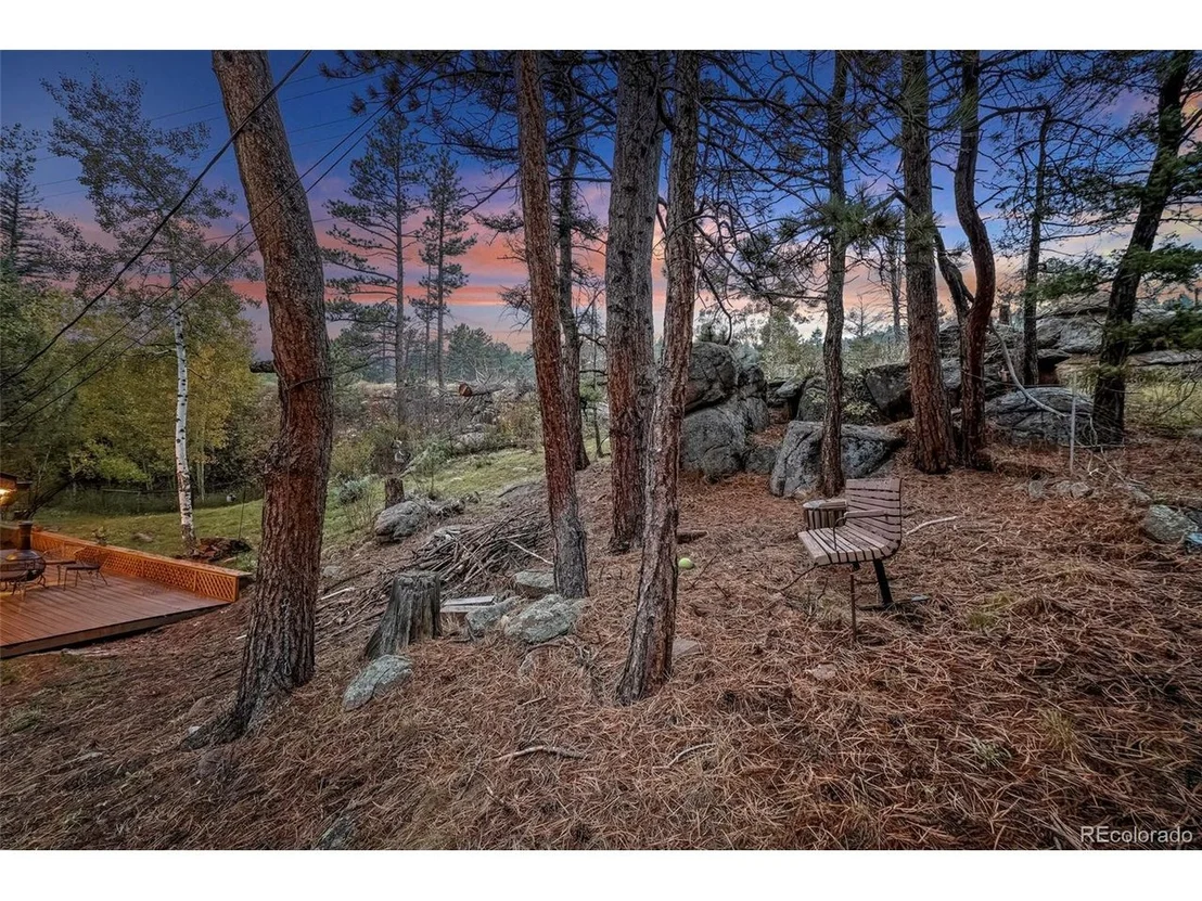 Photo of 27131 Log Trl