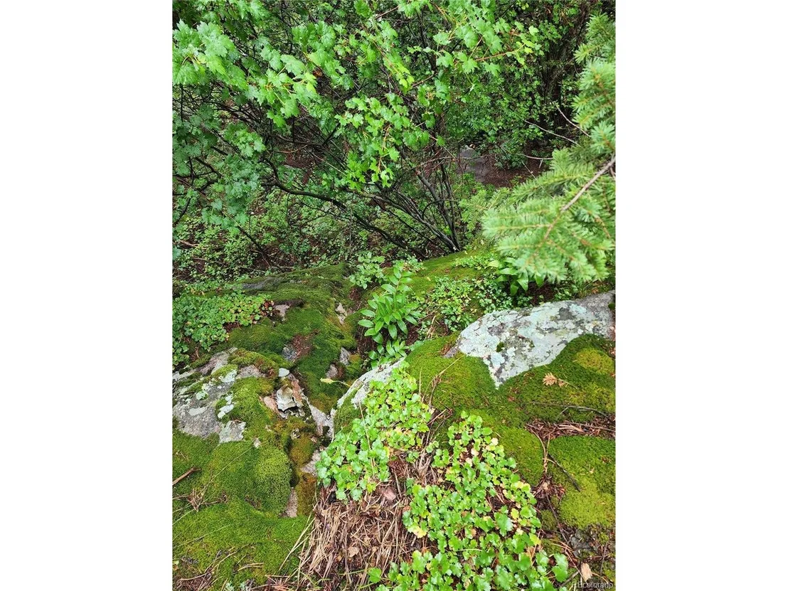 Photo of 31429 Burke Rd