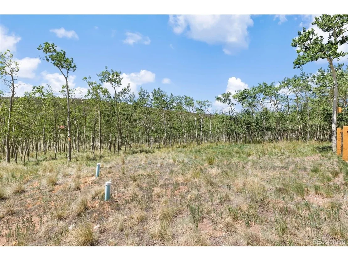 Photo of 108 Sheep Ridge Rd