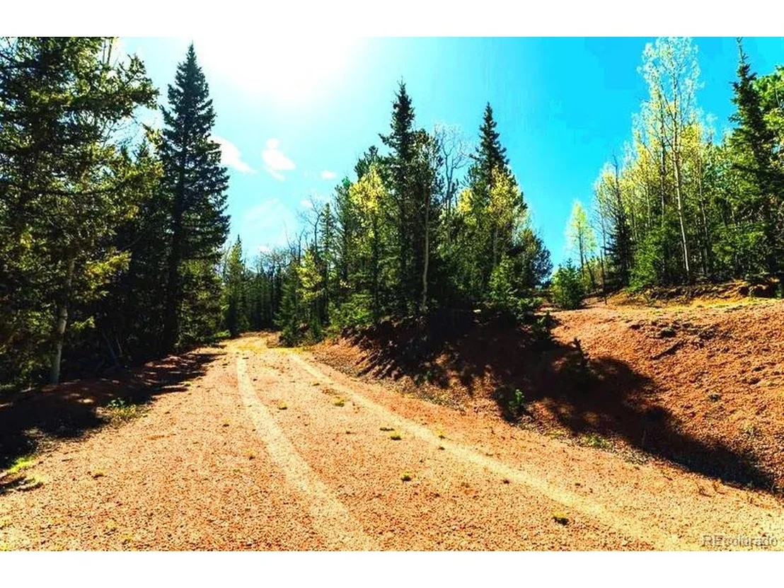Photo of 977 County Road 61