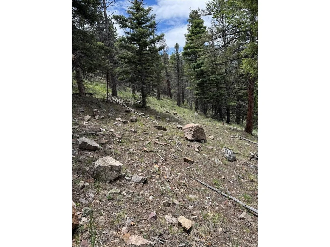 Photo of Knotty Pine Rd