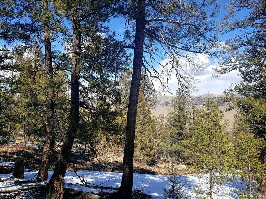 Photo of Middle Fork Vis