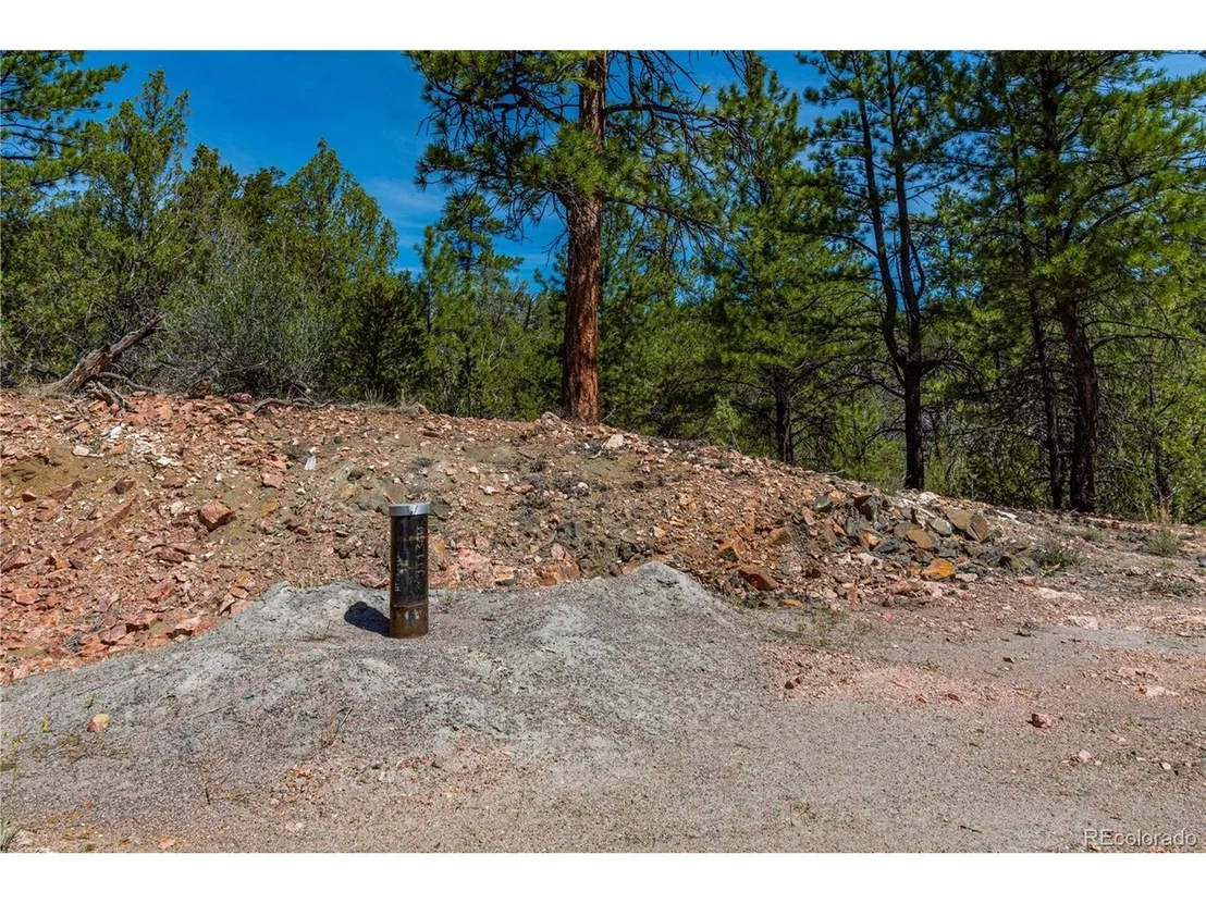 Photo of Arnold Dr