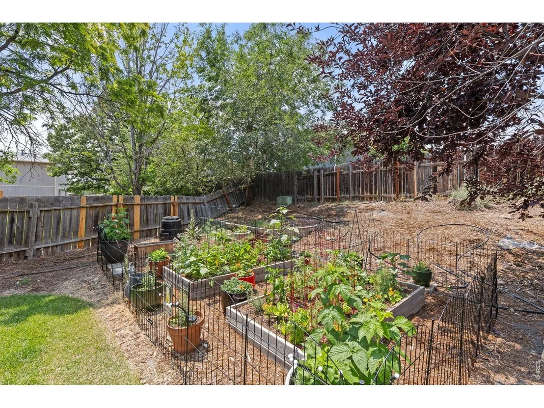 Photo of 701 Drift Pl