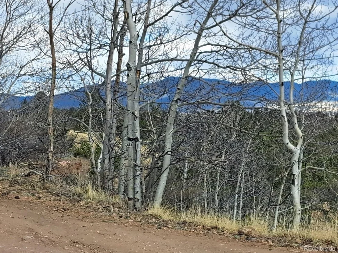 Photo of 908 Raven Way