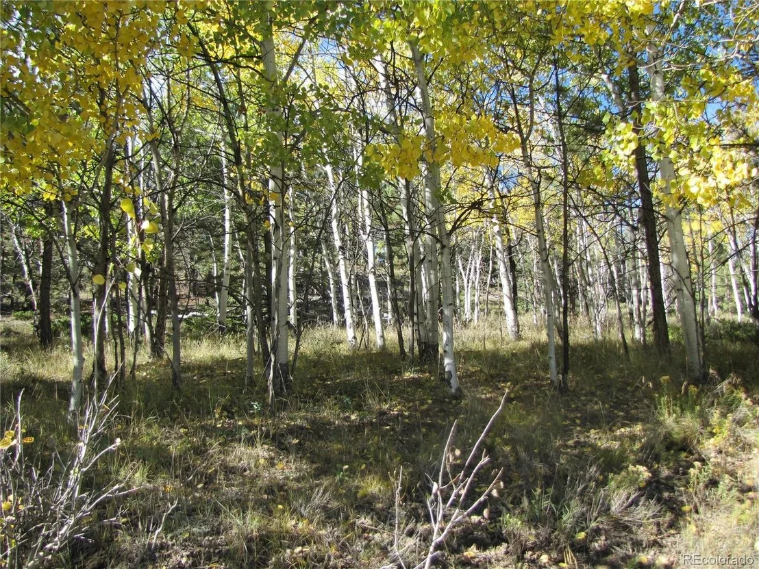 Photo of 699 Campfire Rd
