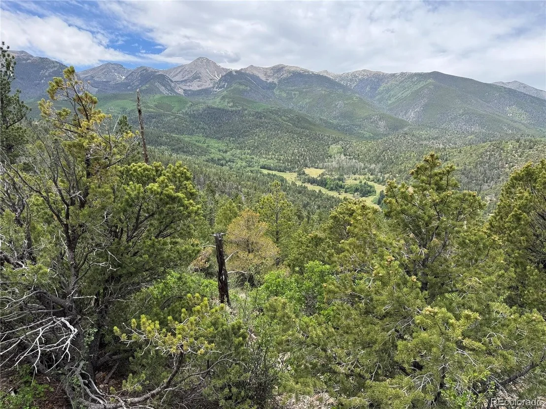 Photo of Knotty Pine Rd