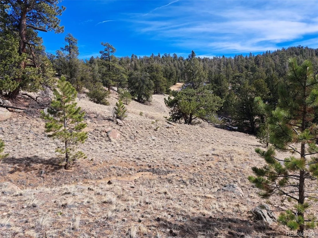 Photo of 369 Summit Rd