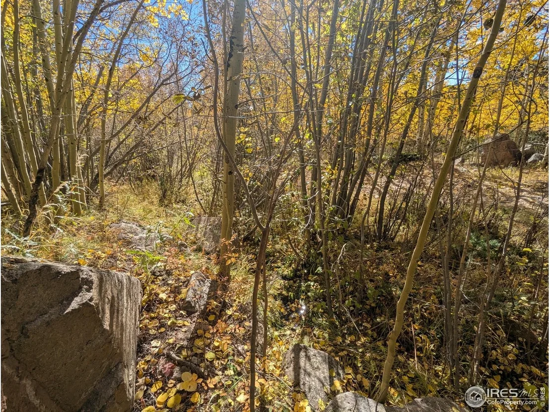 Photo of 2174 Bear Gulch Rd