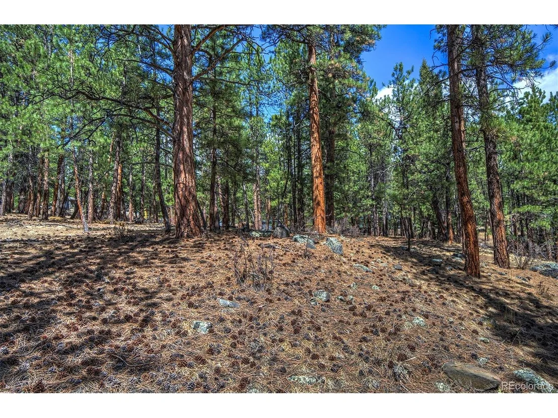 Photo of 27554 Pine Valley Dr