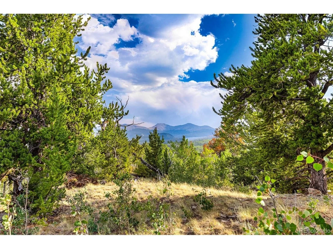Photo of 210 Pine Ridge Rd