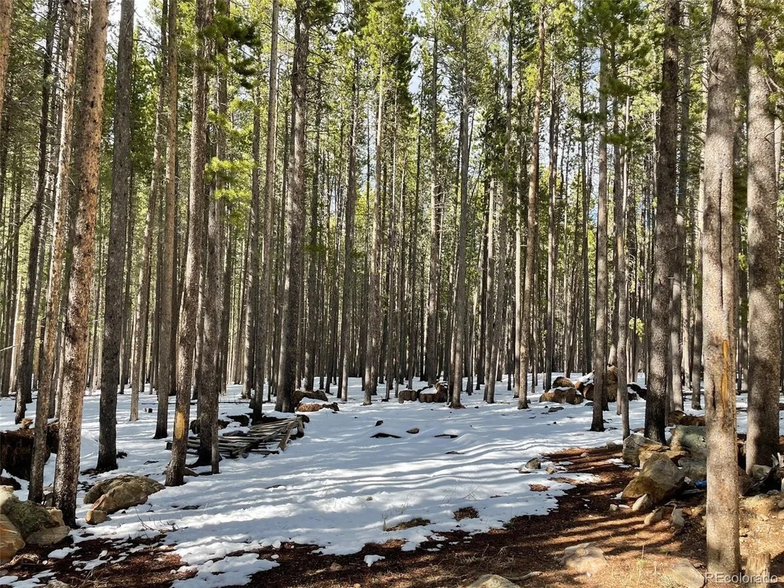 Photo of 0 Elk Trl