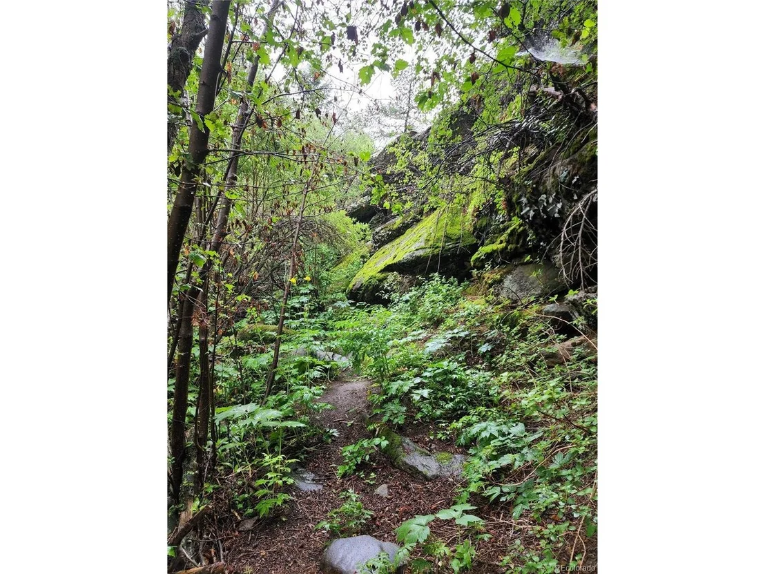 Photo of 31429 Burke Rd