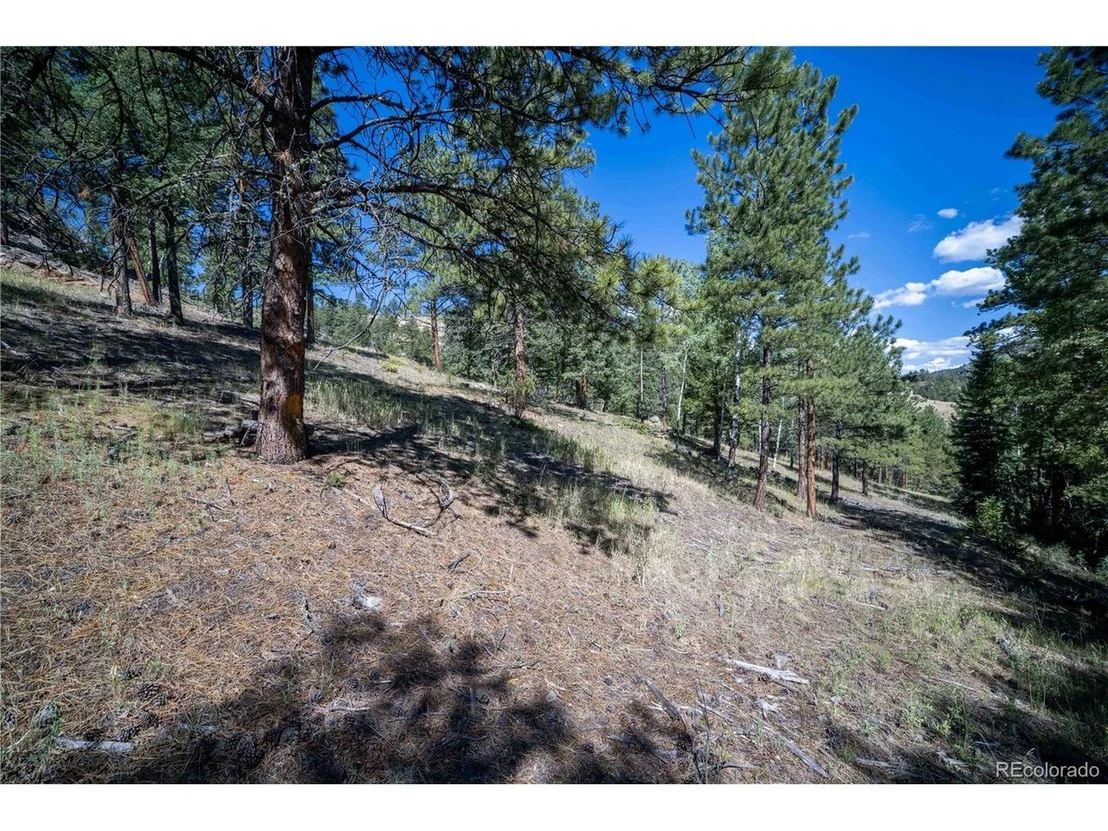 Photo of 14850 Quandary Peak Rd