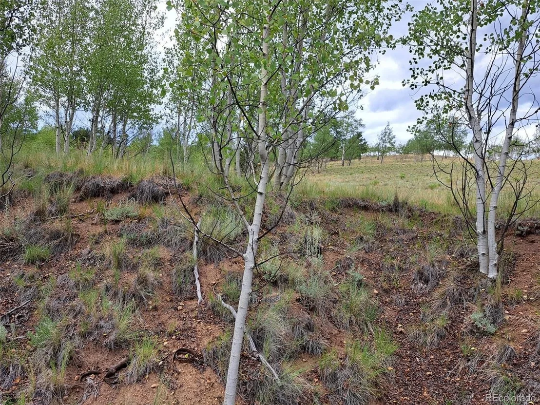 Photo of 6206 Remington Rd