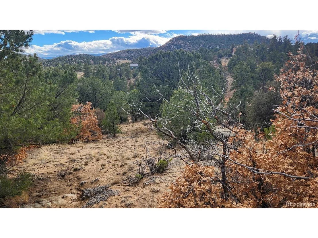 Photo of 47 White Cloud Dr