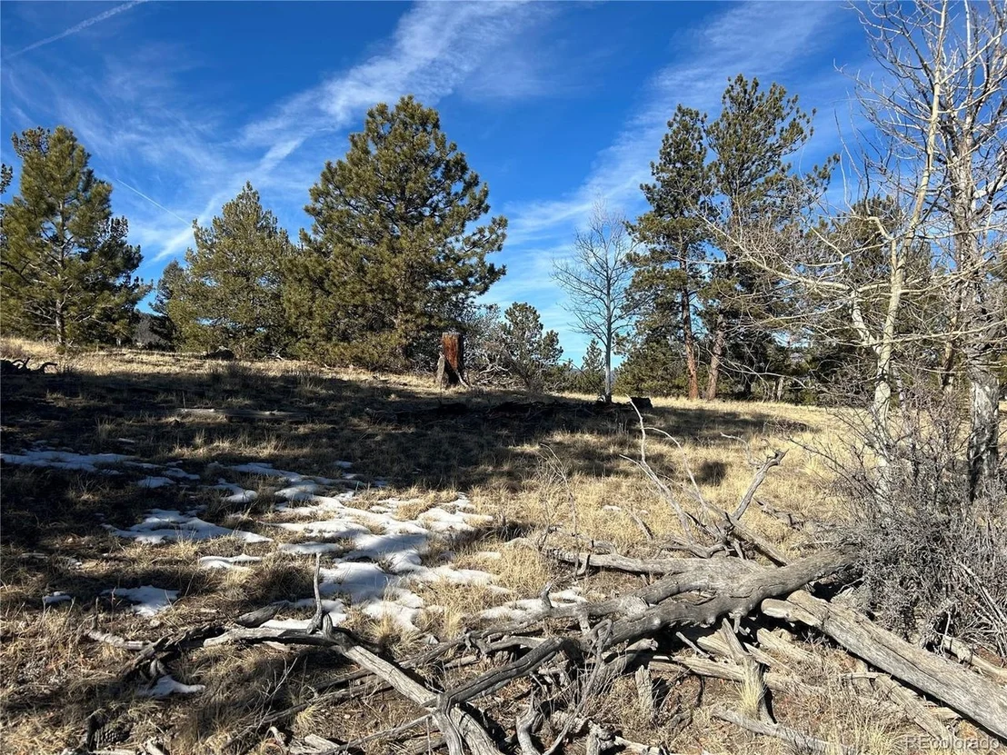 Photo of 3430 Singletree Rd