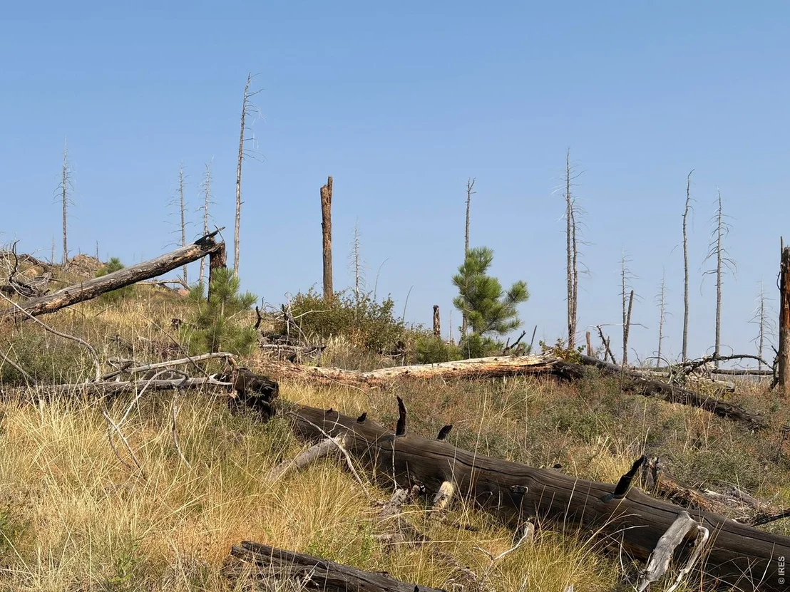 Photo of 0 Pine Acres Rd