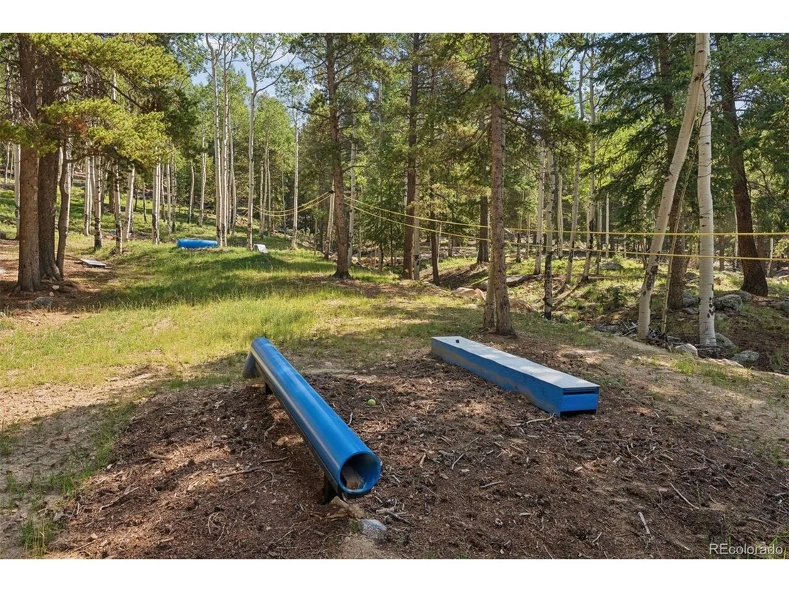 Photo of 11102 Conifer Mountain Rd