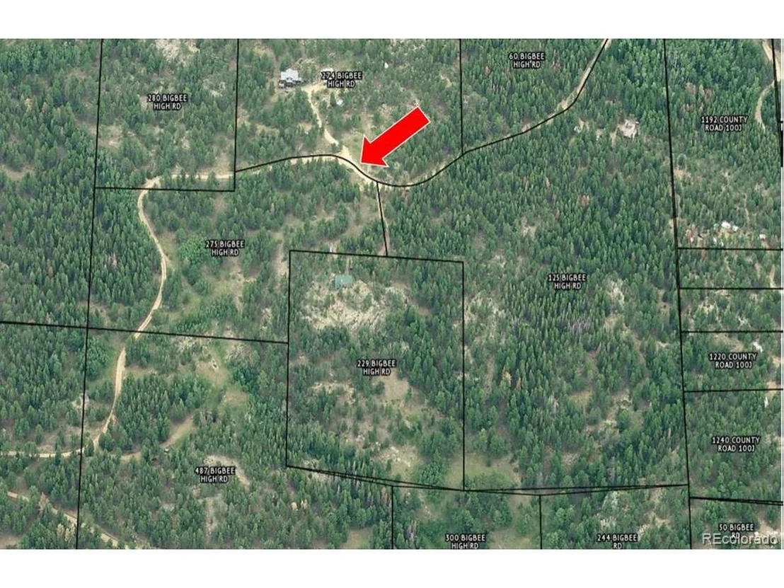 Photo of 275 Bigbee High Rd
