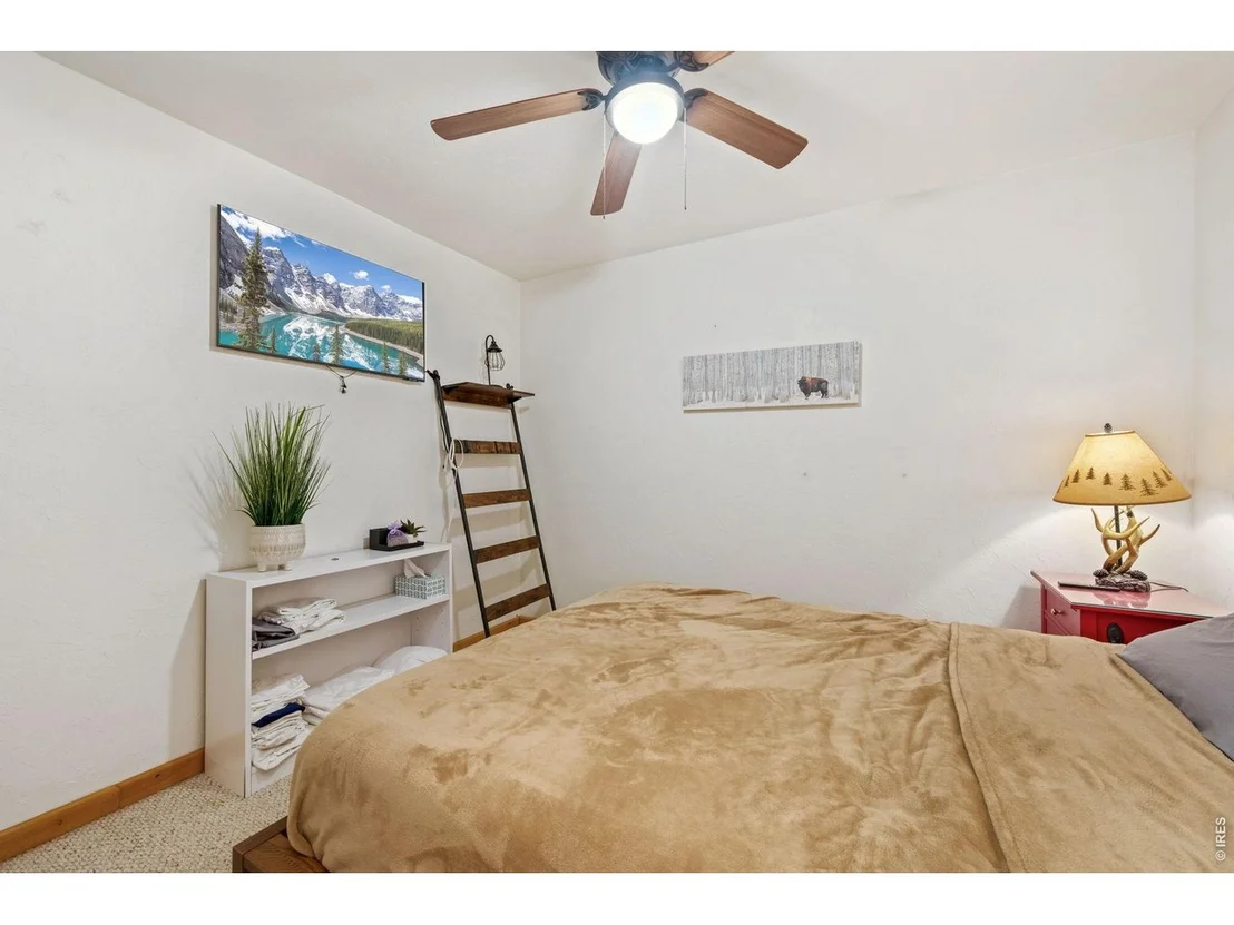 Photo of 298 Mount Massive Dr