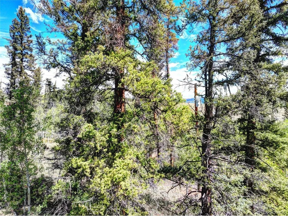 Photo of 75 Swiggler Rd