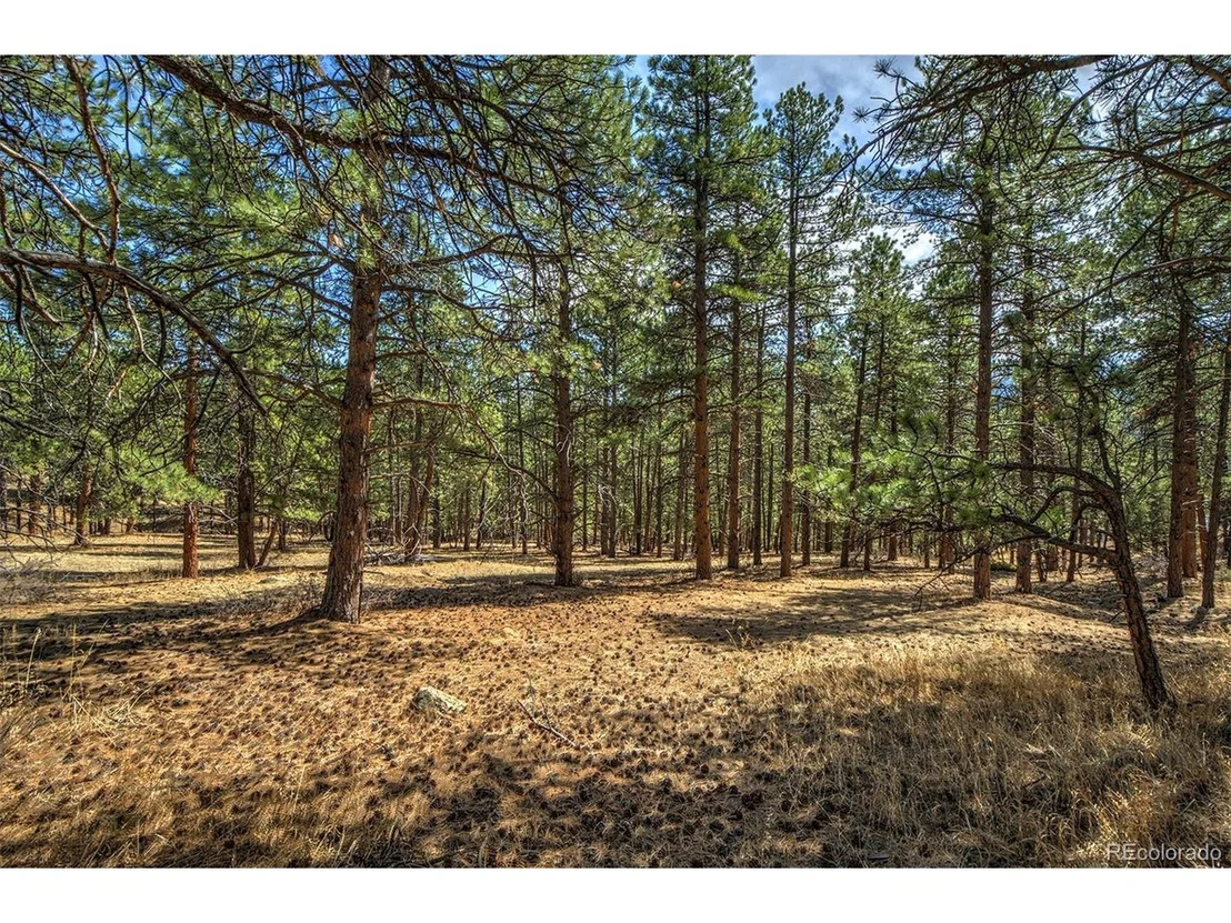 Photo of 27554 Pine Valley Dr
