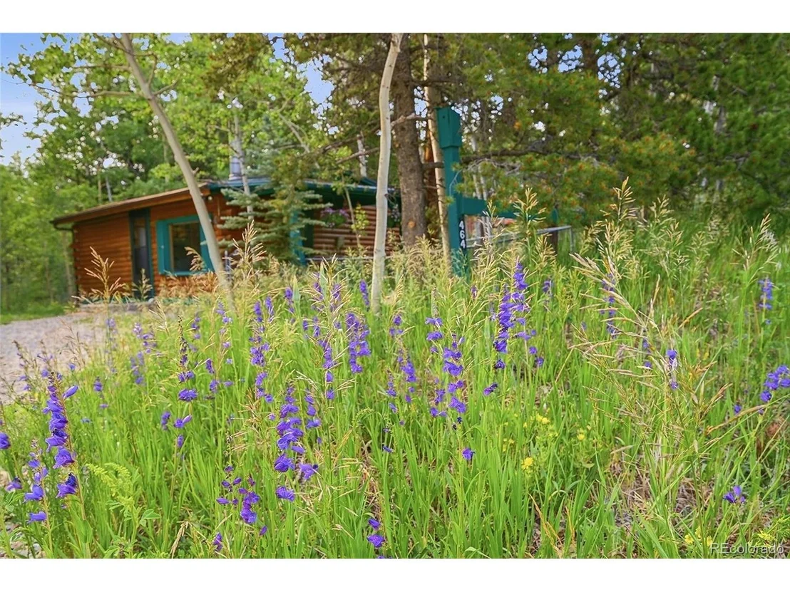 Photo of 464 Long Trail Rd