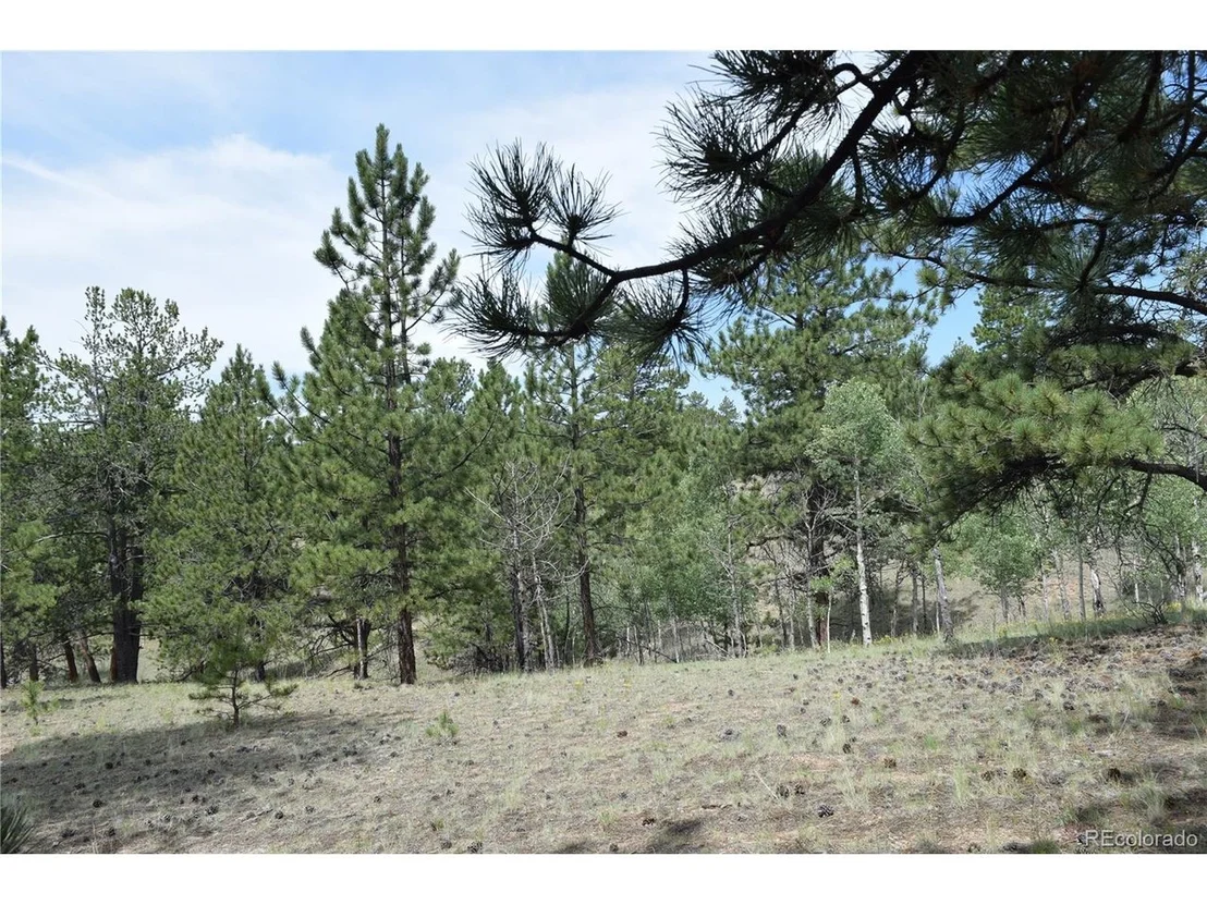 Photo of 1651 Aspen Trl