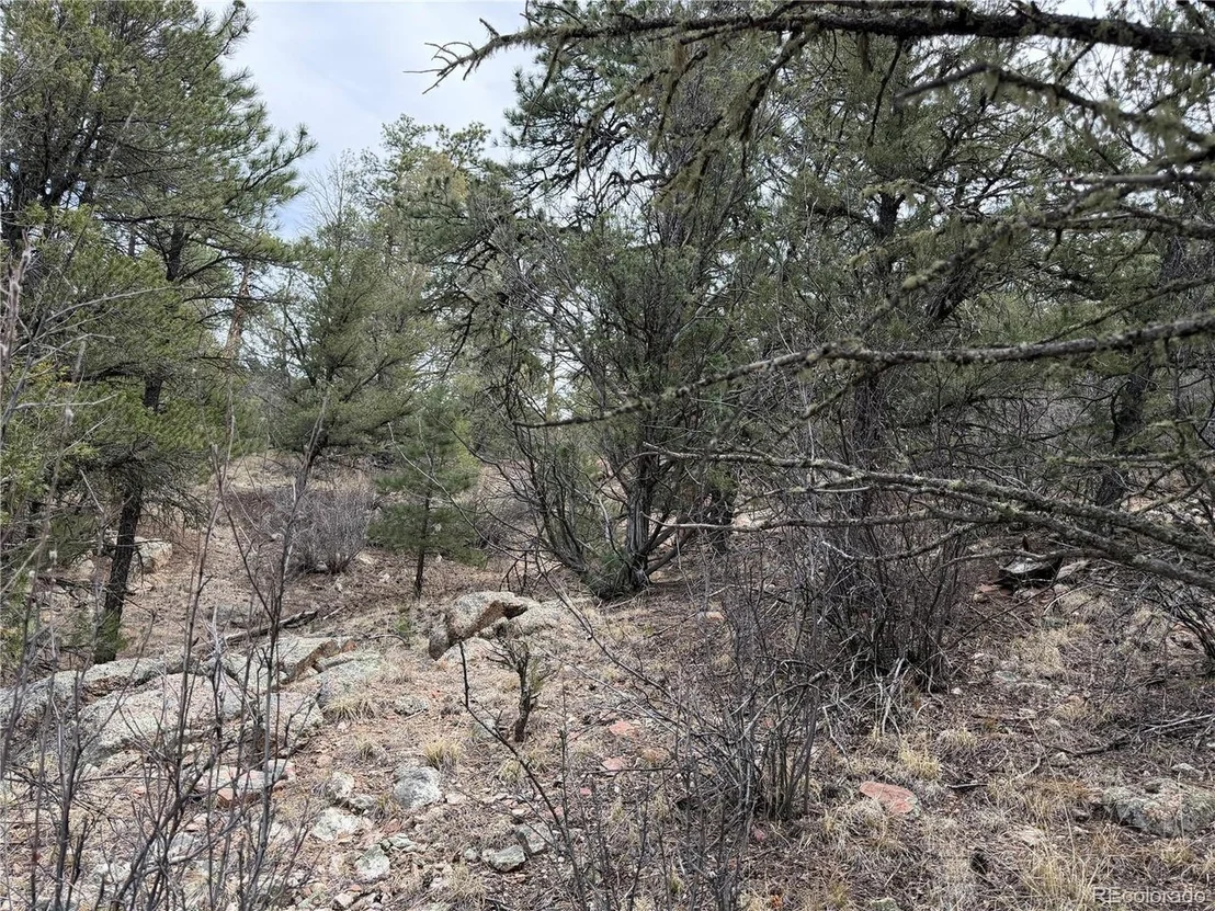Photo of 672 Coyote Run Trl