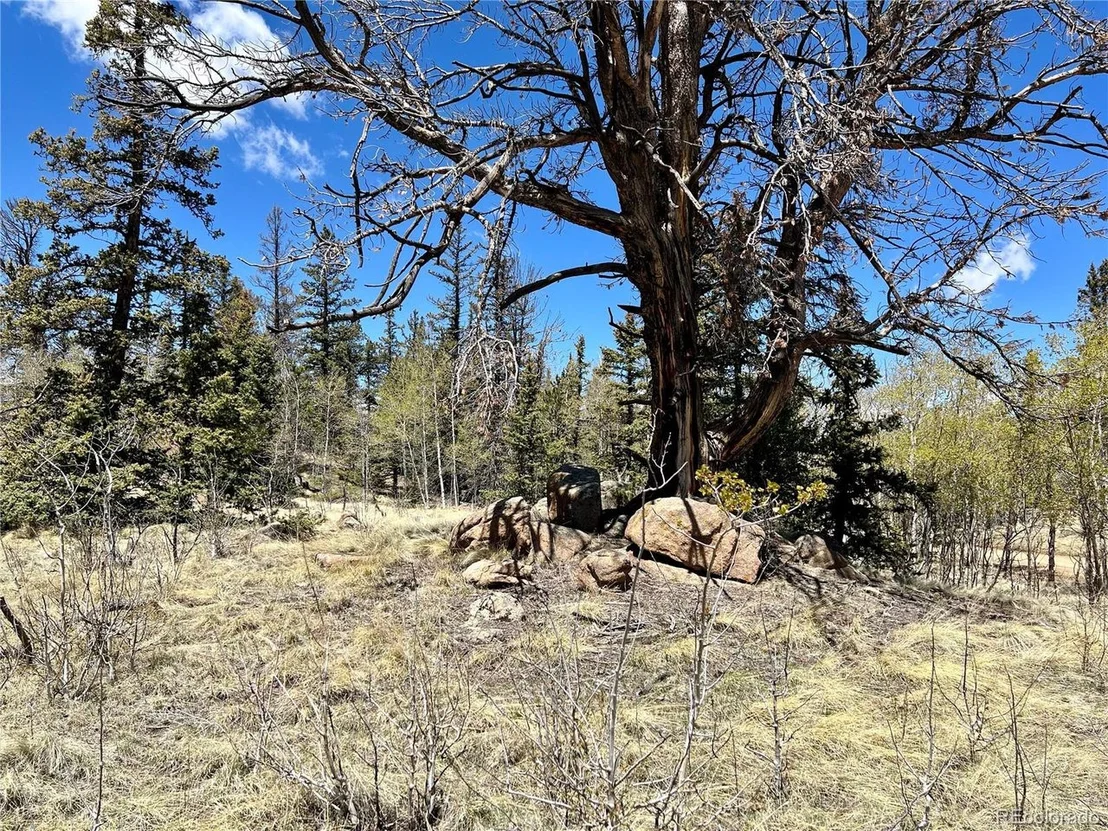 Photo of 201 Kodiak Rd