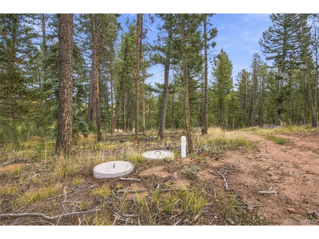 Photo of 27687 Pine Grove Trl
