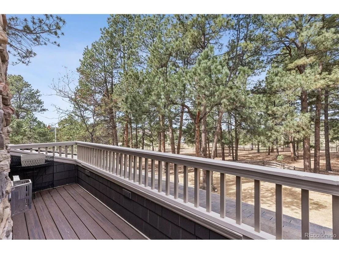 Photo of 590 Grey Squirrel Way