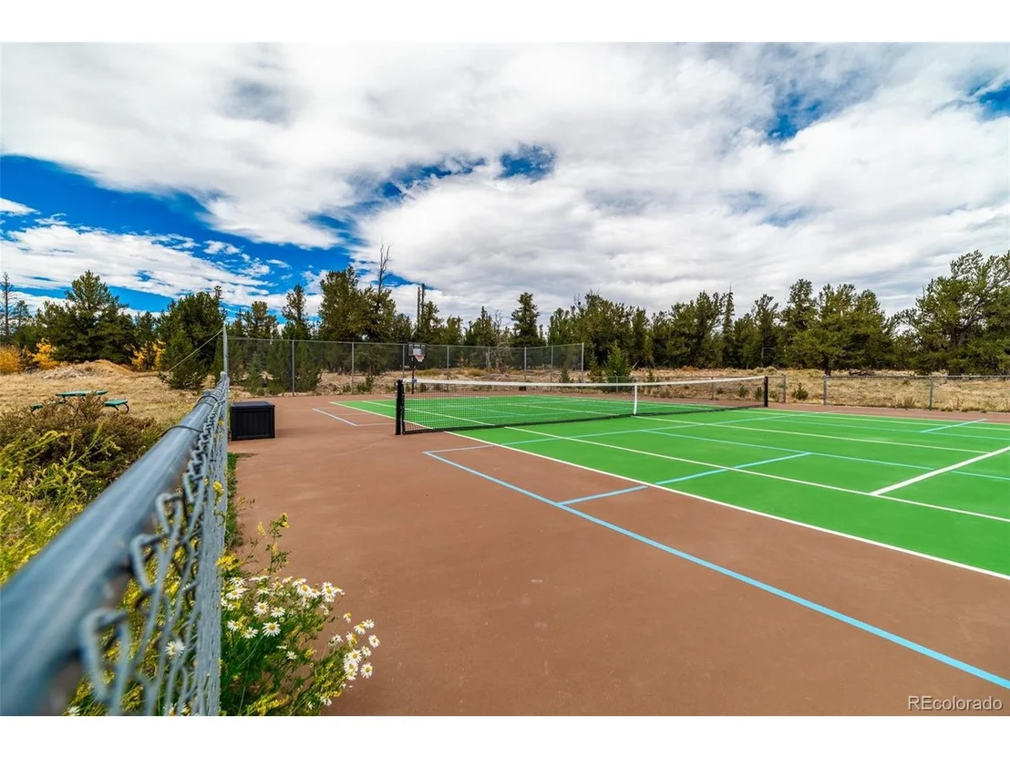 Photo of 49 Stellar Jay Way