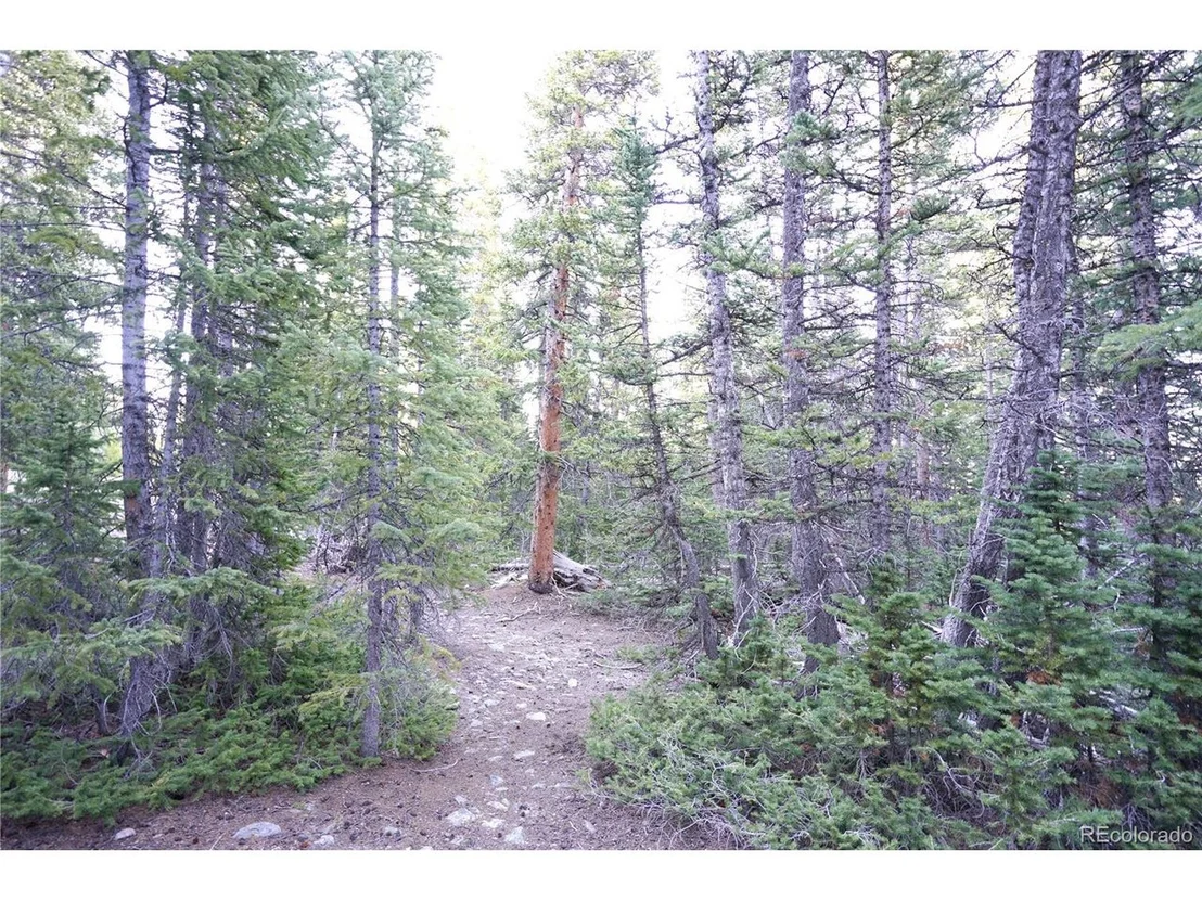 Photo of 252 Silverheels Pl