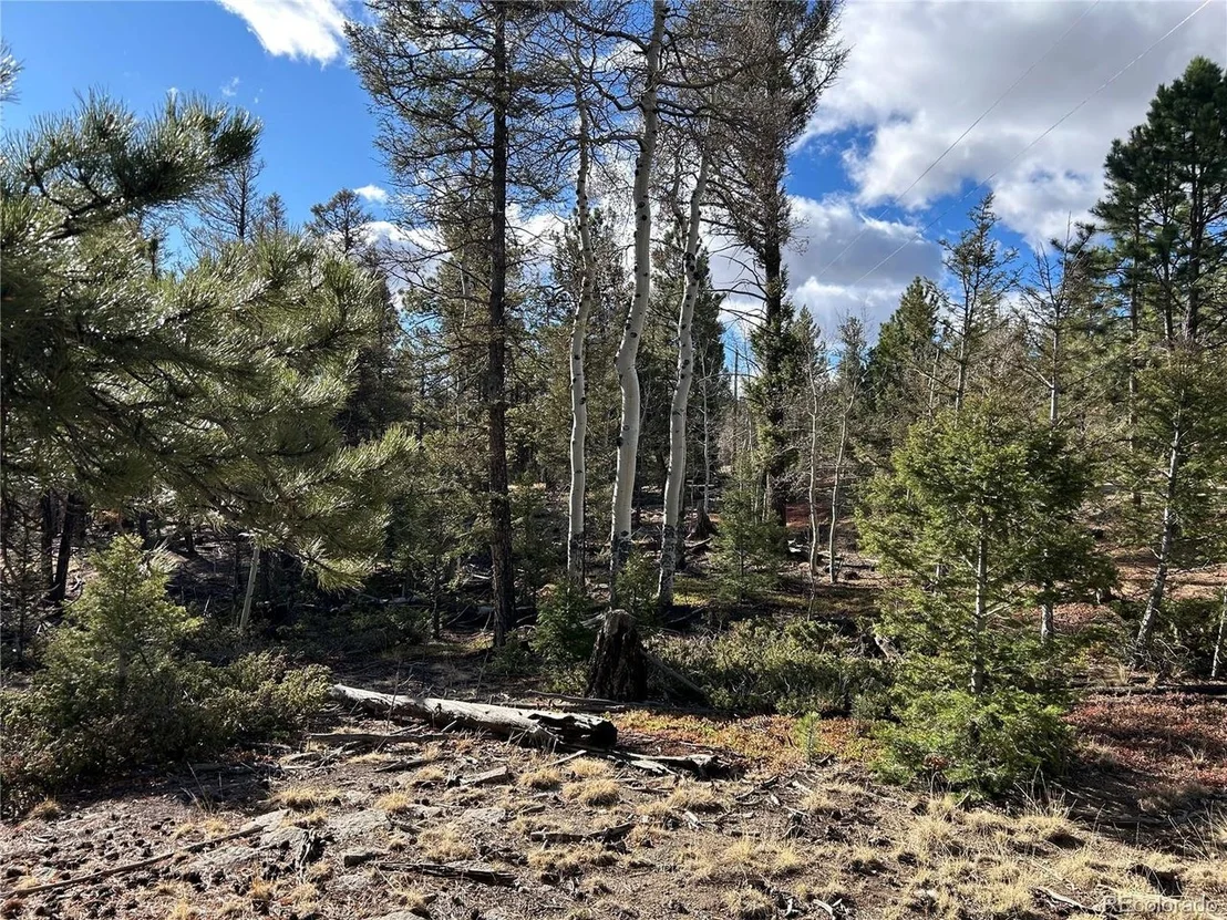 Photo of 1581 Bellows Rd
