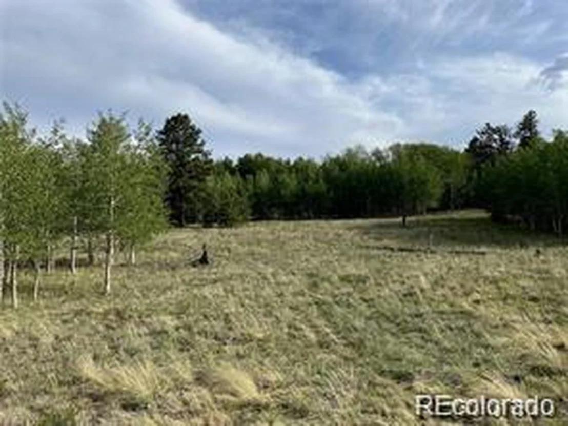 Photo of 1599 Campfire Rd