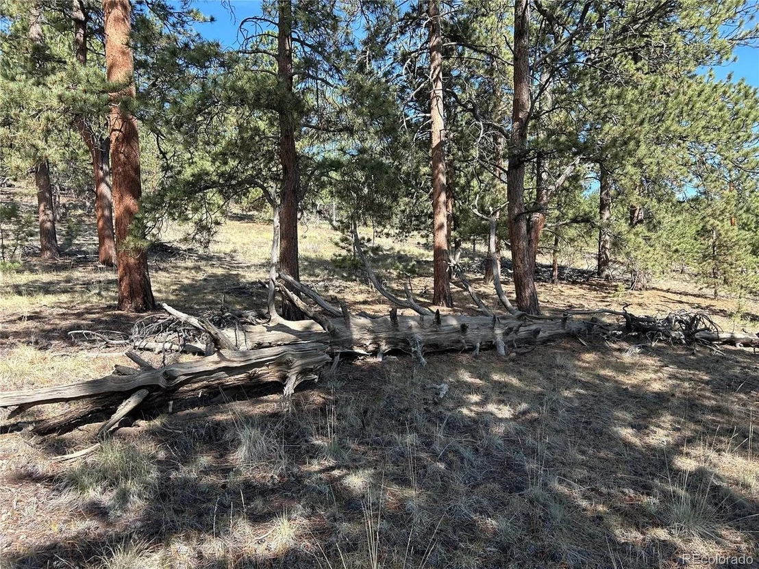 Photo of 565 Hayhook Way