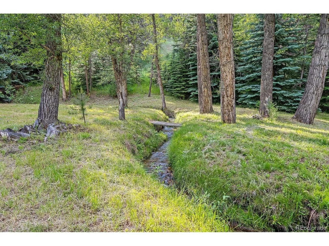 Photo of 33833 Deep Forest Rd