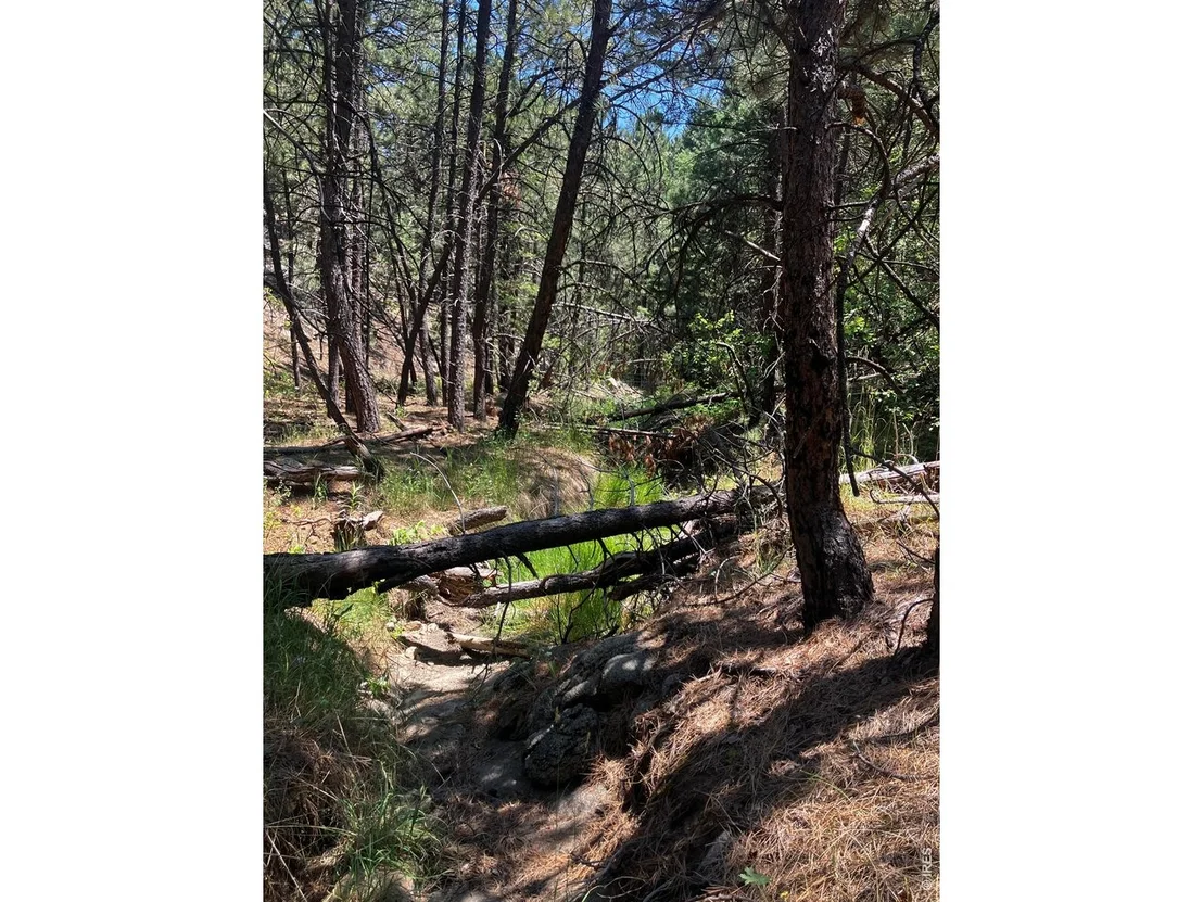 Photo of 5550 Sunshine Canyon Dr
