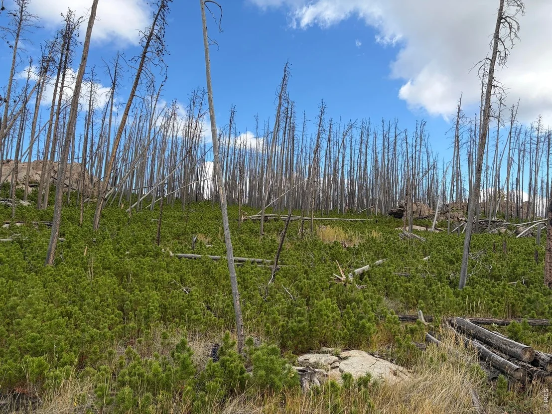 Photo of 2025 Granite Rd