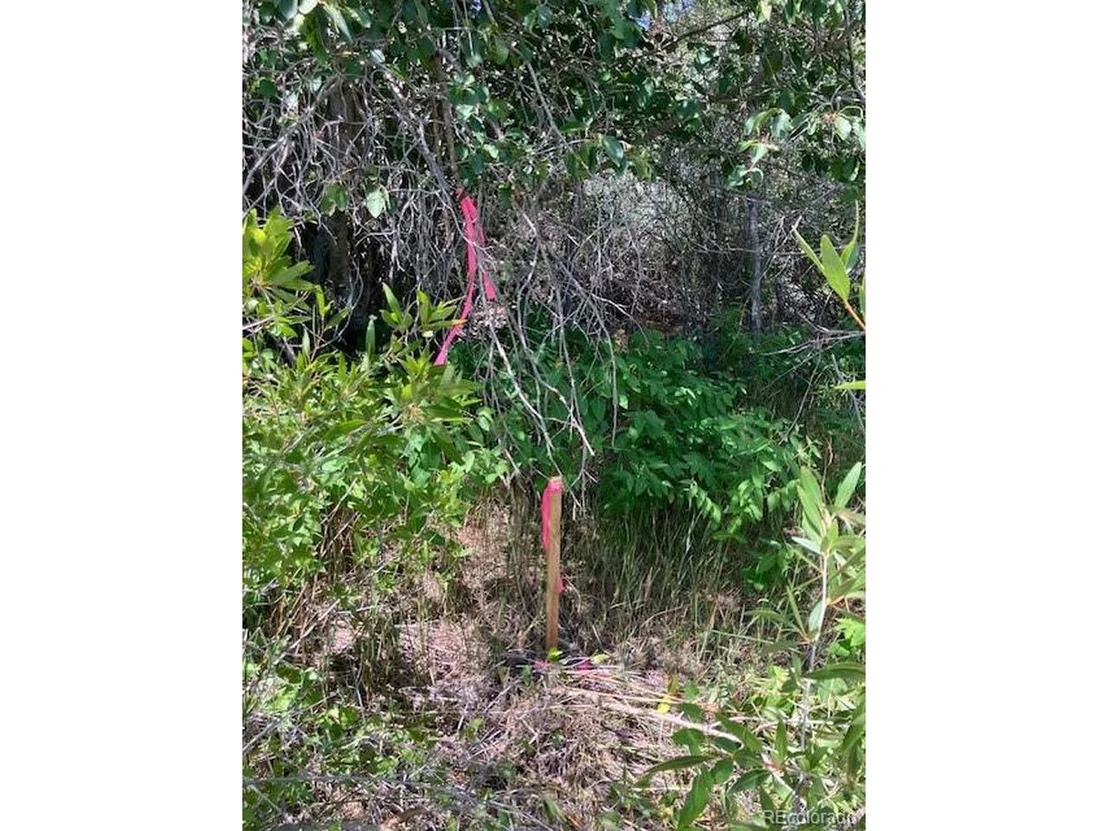 Photo of 8116 Fawn Run
