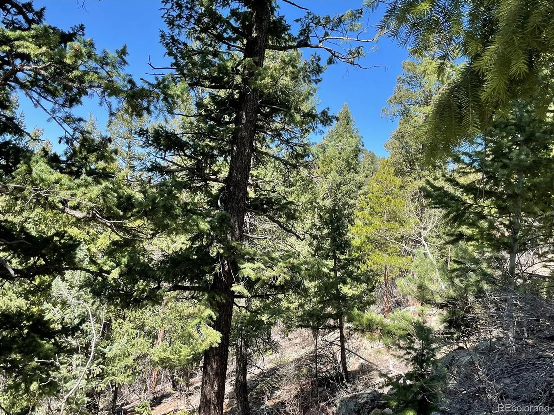 Photo of 33483 Elk Run