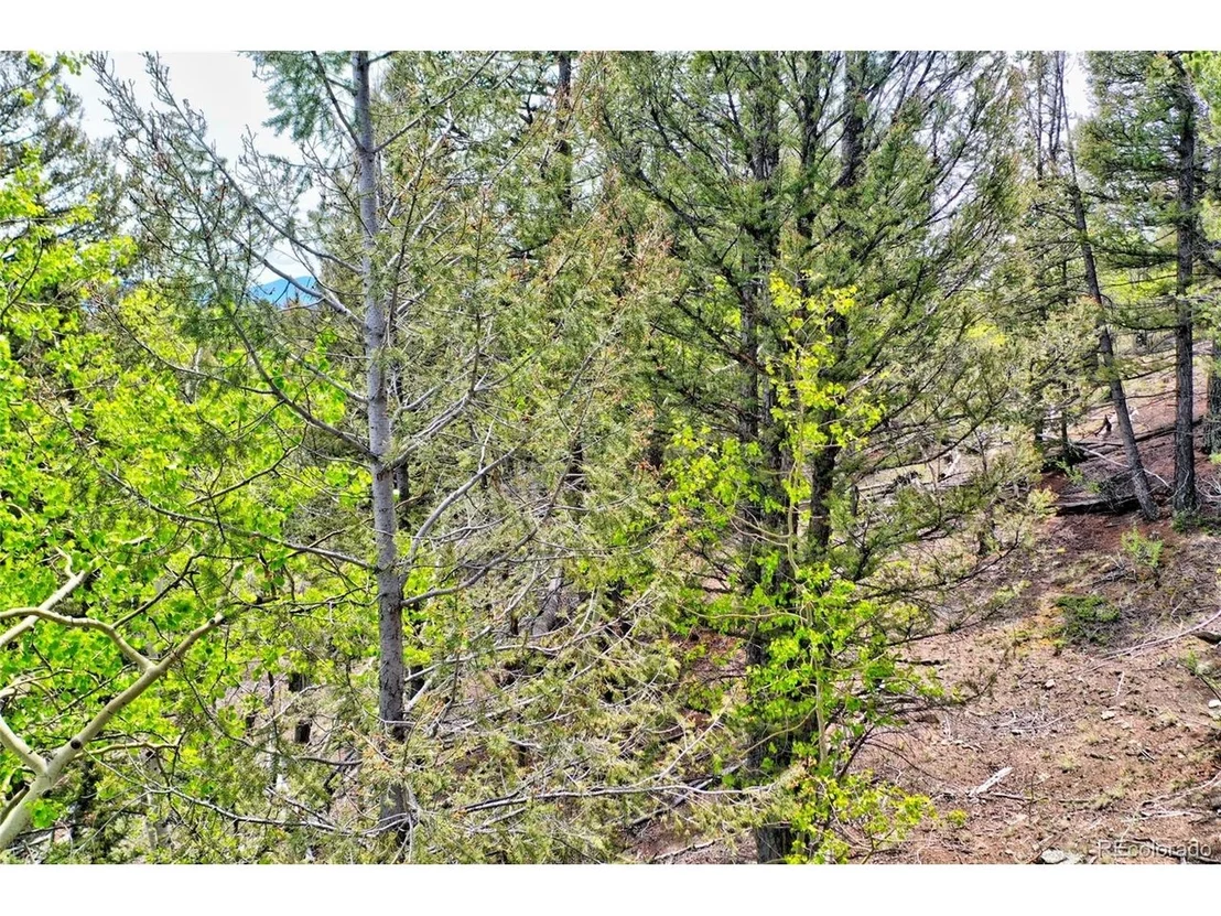 Photo of 28 Old Squaw Rd