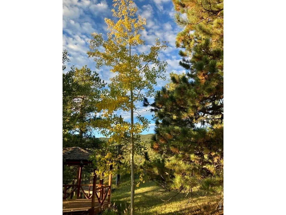 Photo of 32048 Highway 72