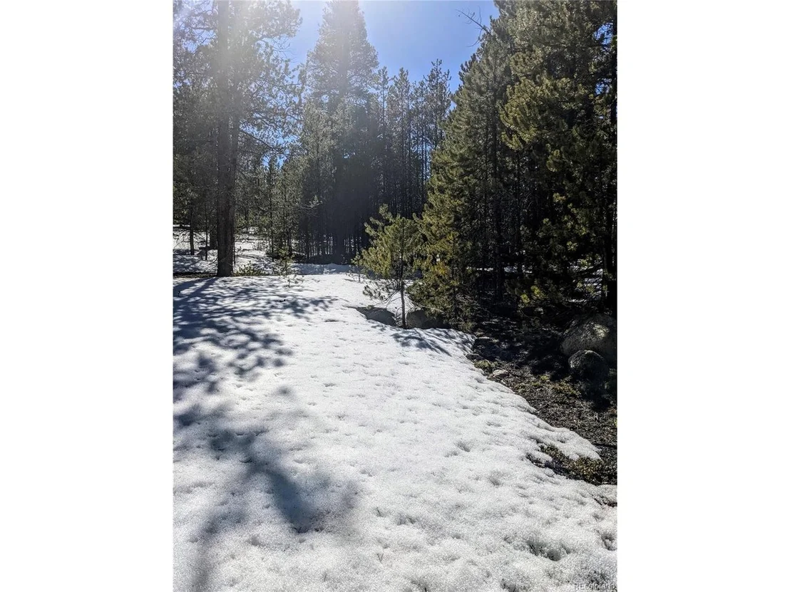 Photo of 218 Juniper Dr