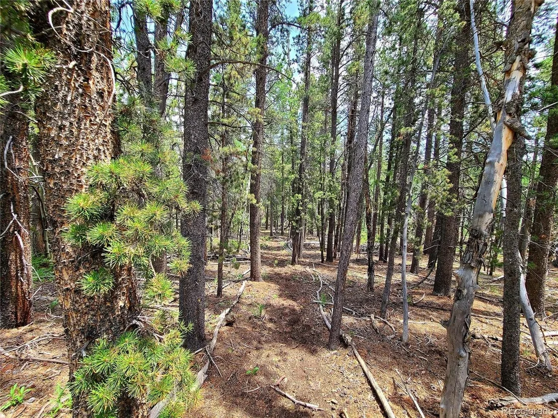 Photo of 0 Mackey Mine Road